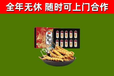 泸州市回收冬虫夏草价格